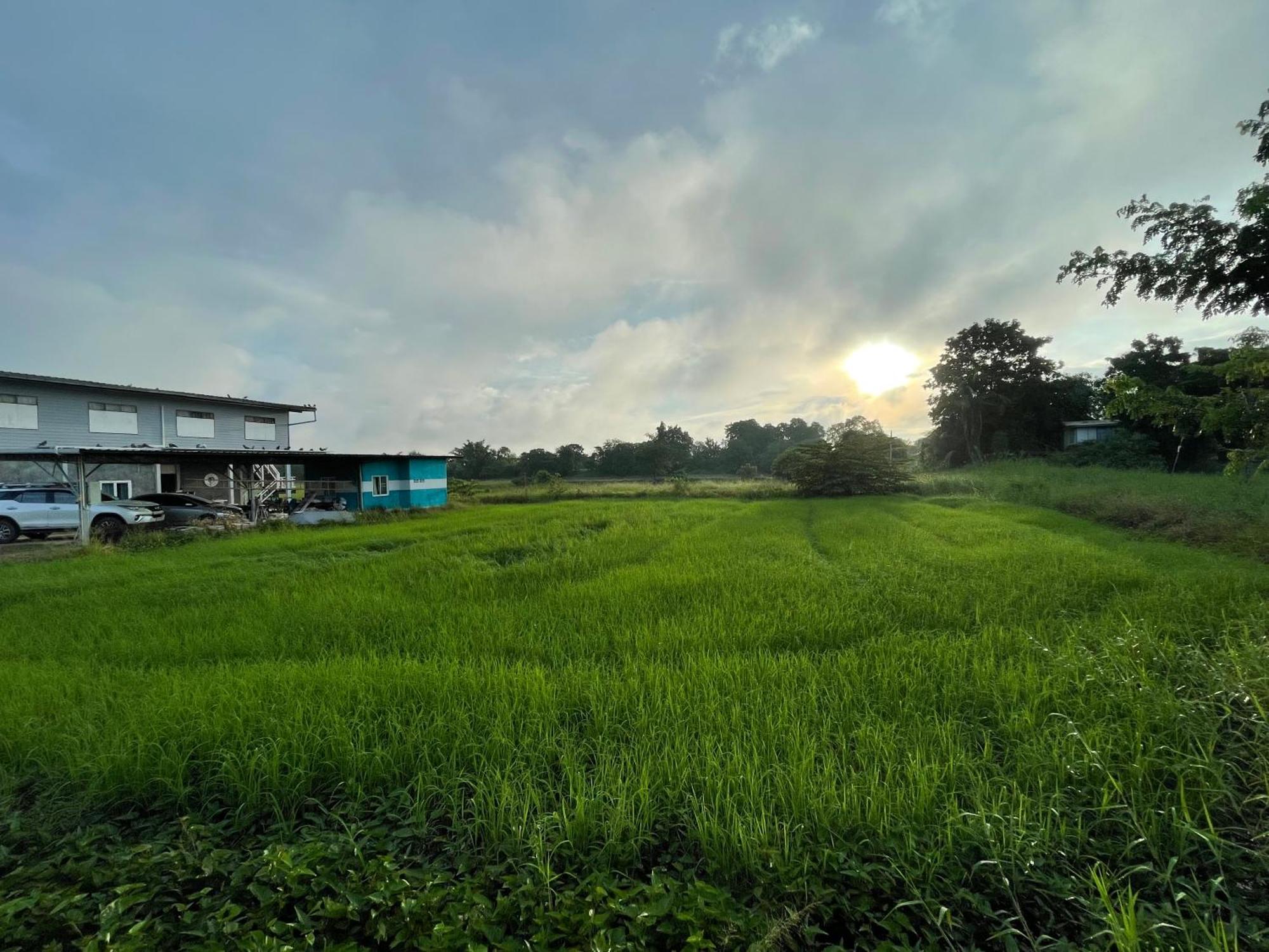 Srihome ยายศรีโฮมแอนแคมป์ปิ้ง Ban Don Tum Extérieur photo
